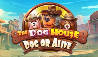 Demo Slot The Dog House Dog Or Alive